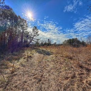 Photo #43 of 1474 Hillmon Grove Rd, Cameron, NC 59.1 acres