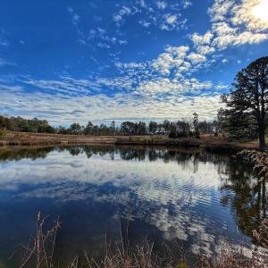 Photo #46 of 1474 Hillmon Grove Rd, Cameron, NC 59.1 acres