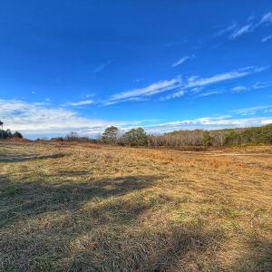 Photo #52 of 1474 Hillmon Grove Rd, Cameron, NC 59.1 acres