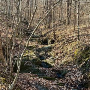 Photo #4 of Off of Walnut Lane, Lynchburg, VA 6.4 acres