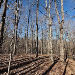 Photo #13 of Off of Walnut Lane, Lynchburg, VA 6.4 acres