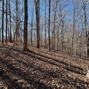 Photo #14 of Off of Walnut Lane, Lynchburg, VA 6.4 acres