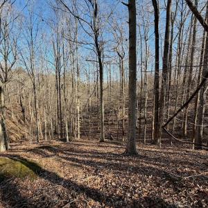 Photo #15 of Off of Walnut Lane, Lynchburg, VA 6.4 acres