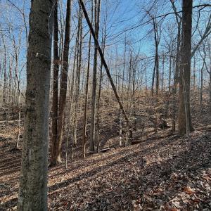 Photo #16 of Off of Walnut Lane, Lynchburg, VA 6.4 acres