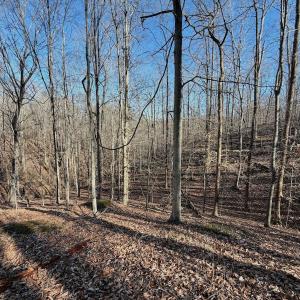Photo #17 of Off of Walnut Lane, Lynchburg, VA 6.4 acres