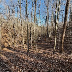 Photo #18 of Off of Walnut Lane, Lynchburg, VA 6.4 acres