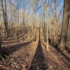 Photo #19 of Off of Walnut Lane, Lynchburg, VA 6.4 acres