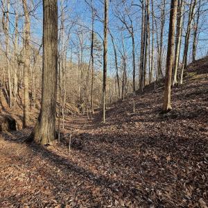 Photo #20 of Off of Walnut Lane, Lynchburg, VA 6.4 acres