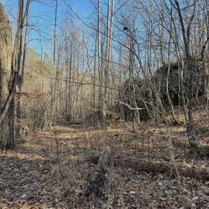 Photo #24 of Off of Walnut Lane, Lynchburg, VA 6.4 acres