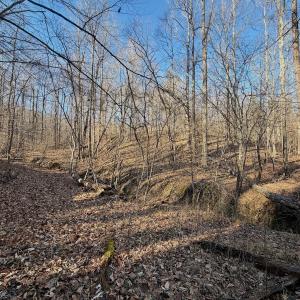 Photo #26 of Off of Walnut Lane, Lynchburg, VA 6.4 acres