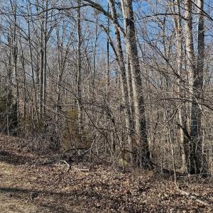 Photo #29 of Off of Walnut Lane, Lynchburg, VA 6.4 acres