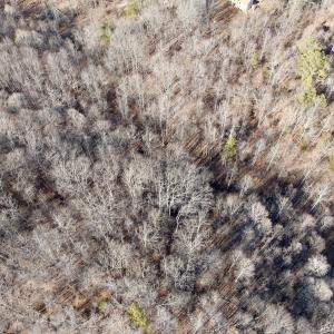 Photo #31 of Off of Walnut Lane, Lynchburg, VA 6.4 acres