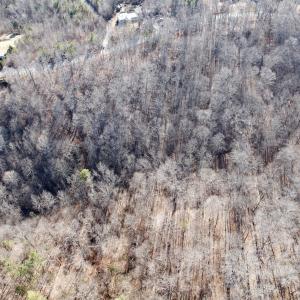 Photo #33 of Off of Walnut Lane, Lynchburg, VA 6.4 acres