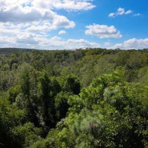 Photo #38 of Off of Walnut Lane, Lynchburg, VA 6.4 acres