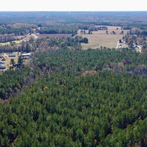 Photo #10 of Off Mcdougald Rd, Broadway, NC 27,505.0 acres