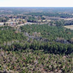 Photo #12 of Off Mcdougald Rd, Broadway, NC 27,505.0 acres