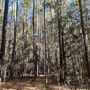 Photo #17 of Off Mcdougald Rd, Broadway, NC 27,505.0 acres