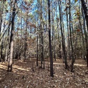 Photo #18 of Off Mcdougald Rd, Broadway, NC 27,505.0 acres