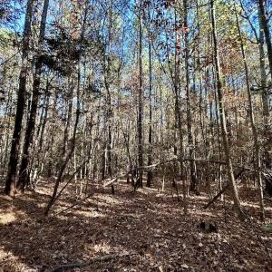 Photo #19 of Off Mcdougald Rd, Broadway, NC 27,505.0 acres