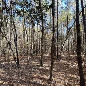 Photo #20 of Off Mcdougald Rd, Broadway, NC 27,505.0 acres
