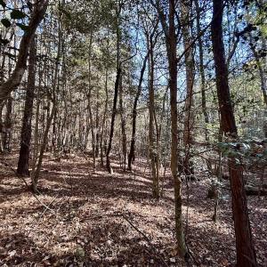 Photo #21 of Off Mcdougald Rd, Broadway, NC 27,505.0 acres