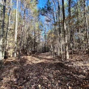 Photo #22 of Off Mcdougald Rd, Broadway, NC 27,505.0 acres