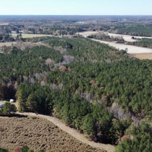 Photo #7 of Off Mcdougald Rd, Broadway, NC 27,505.0 acres