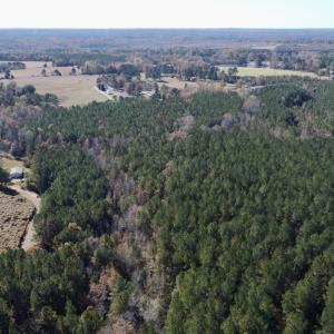 Photo #8 of Off Mcdougald Rd, Broadway, NC 27,505.0 acres