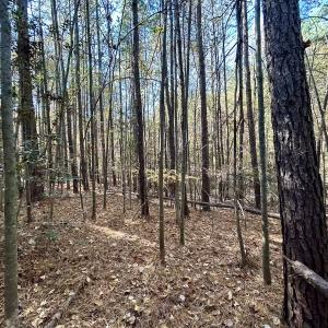 Photo #23 of Off Mcdougald Rd, Broadway, NC 27,505.0 acres