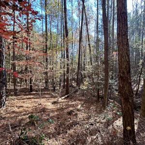 Photo #25 of Off Mcdougald Rd, Broadway, NC 27,505.0 acres
