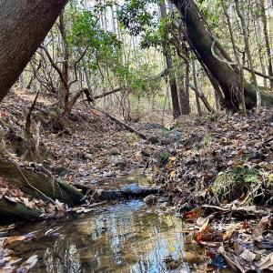 Photo #26 of Off Mcdougald Rd, Broadway, NC 27,505.0 acres