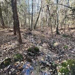 Photo #27 of Off Mcdougald Rd, Broadway, NC 27,505.0 acres