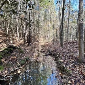 Photo #28 of Off Mcdougald Rd, Broadway, NC 27,505.0 acres