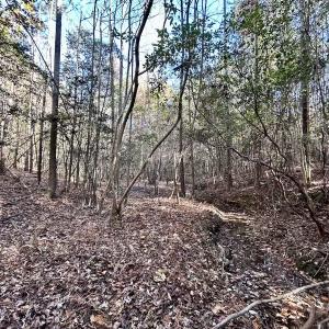 Photo #29 of Off Mcdougald Rd, Broadway, NC 27,505.0 acres