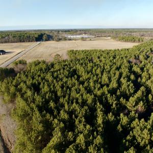 Photo #13 of 346 Menola St Johns Rd, Ahoskie, NC 35.4 acres