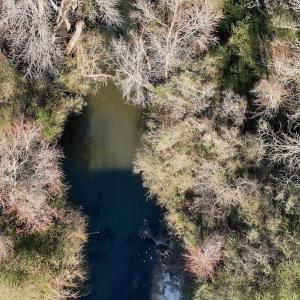 Photo #15 of 346 Menola St Johns Rd, Ahoskie, NC 35.4 acres