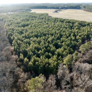 Photo #17 of 346 Menola St Johns Rd, Ahoskie, NC 35.4 acres