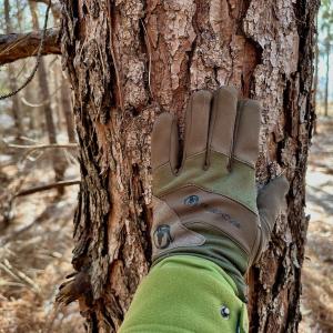 Photo #18 of 346 Menola St Johns Rd, Ahoskie, NC 35.4 acres