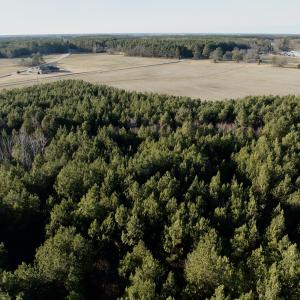 Photo #19 of 346 Menola St Johns Rd, Ahoskie, NC 35.4 acres