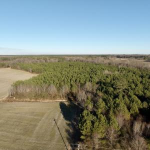 Photo #1 of 346 Menola St Johns Rd, Ahoskie, NC 35.4 acres