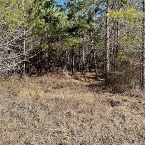 Photo #2 of 346 Menola St Johns Rd, Ahoskie, NC 35.4 acres