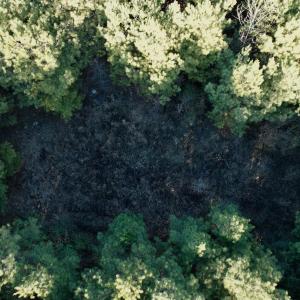 Photo #23 of 346 Menola St Johns Rd, Ahoskie, NC 35.4 acres