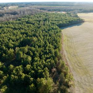 Photo #27 of 346 Menola St Johns Rd, Ahoskie, NC 35.4 acres