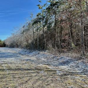 Photo #28 of 346 Menola St Johns Rd, Ahoskie, NC 35.4 acres