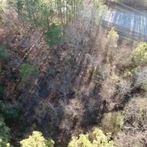 Photo #29 of 346 Menola St Johns Rd, Ahoskie, NC 35.4 acres