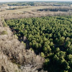 Photo #31 of 346 Menola St Johns Rd, Ahoskie, NC 35.4 acres