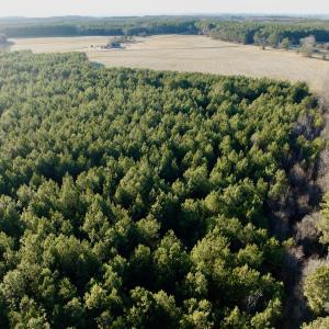 Photo #33 of 346 Menola St Johns Rd, Ahoskie, NC 35.4 acres