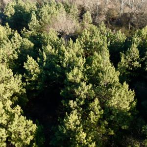 Photo #35 of 346 Menola St Johns Rd, Ahoskie, NC 35.4 acres