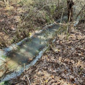 Photo #38 of 346 Menola St Johns Rd, Ahoskie, NC 35.4 acres