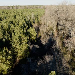 Photo #39 of 346 Menola St Johns Rd, Ahoskie, NC 35.4 acres